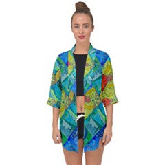 Expansion Pleiadian Light Work Model - Open Front Chiffon Kimono by tealswan