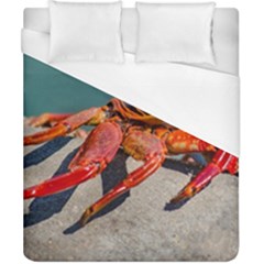 Colored Crab, Galapagos Island, Ecuador Duvet Cover (california King Size) by dflcprintsclothing