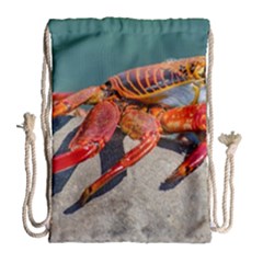 Colored Crab, Galapagos Island, Ecuador Drawstring Bag (large) by dflcprintsclothing