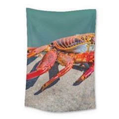 Colored Crab, Galapagos Island, Ecuador Small Tapestry by dflcprintsclothing