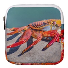 Colored Crab, Galapagos Island, Ecuador Mini Square Pouch by dflcprintsclothing