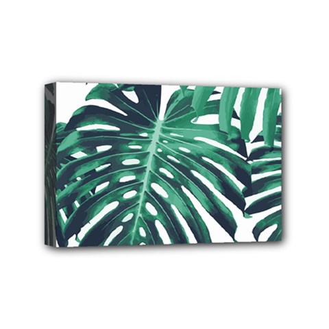 Green Monstera Leaf Mini Canvas 6  X 4  (stretched) by goljakoff