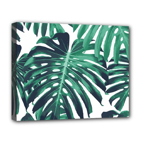 Green Monstera Leaf Deluxe Canvas 20  X 16  (stretched) by goljakoff