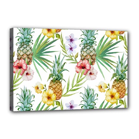 Tropical Pineapples Canvas 18  X 12  (stretched) by goljakoff