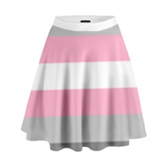 Demigirl Pride Flag Lgbtq High Waist Skirt by lgbtnation