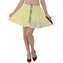 Jamaica, Jamaica  Velvet Skater Skirt View1