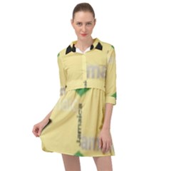 Jamaica, Jamaica  Mini Skater Shirt Dress by Janetaudreywilson