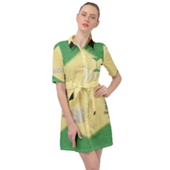 Jamaica, Jamaica  Belted Shirt Dress