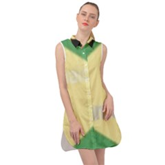 Jamaica, Jamaica  Sleeveless Shirt Dress