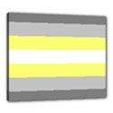 Deminonbinary Pride Flag LGBTQ Canvas 24  x 20  (Stretched) View1