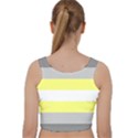 Deminonbinary Pride Flag LGBTQ Velvet Racer Back Crop Top View2