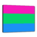 Polysexual Pride Flag LGBTQ Canvas 20  x 16  (Stretched) View1