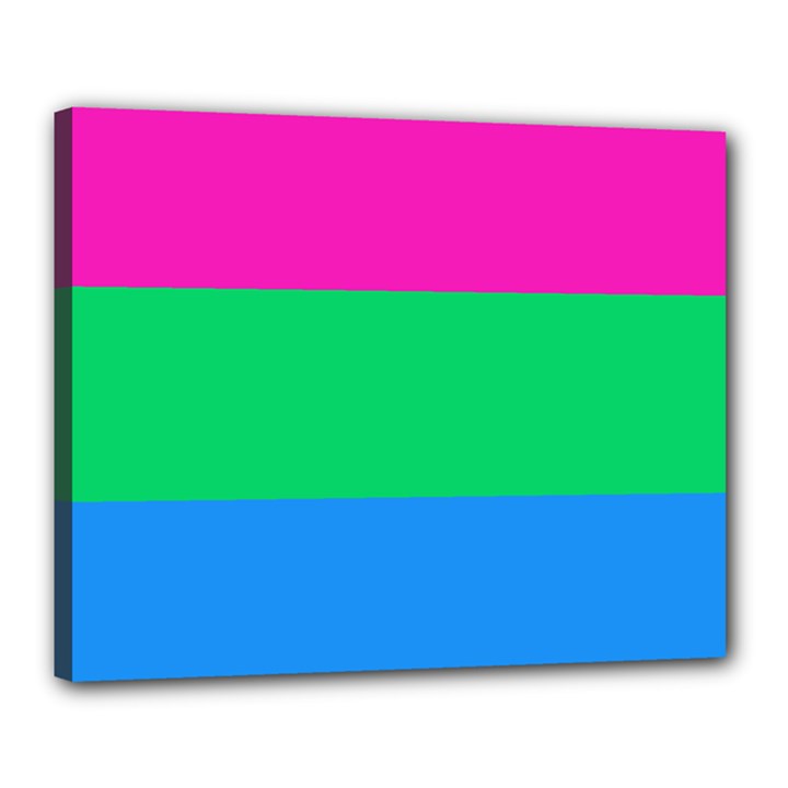 Polysexual Pride Flag LGBTQ Canvas 20  x 16  (Stretched)