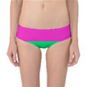 Polysexual Pride Flag LGBTQ Classic Bikini Bottoms View1