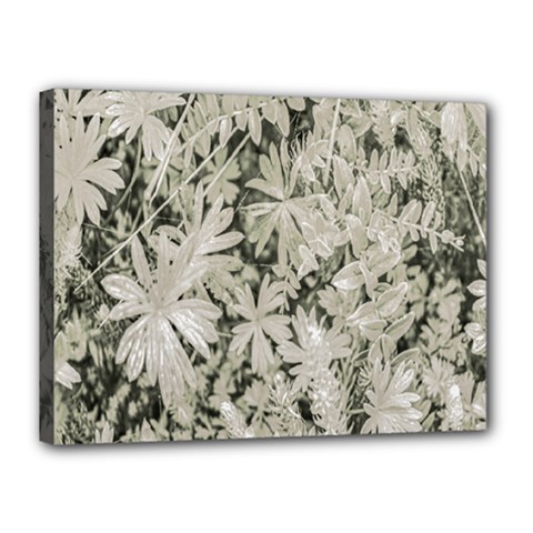 Pale Tropical Floral Print Pattern Canvas 16  X 12  (stretched) by dflcprintsclothing