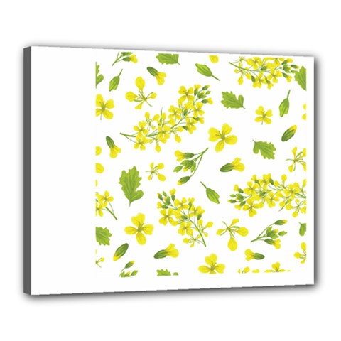 Yellow Flowers Canvas 20  X 16  (stretched) by designsbymallika