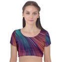 Metallic rainbow Velvet Short Sleeve Crop Top  View1