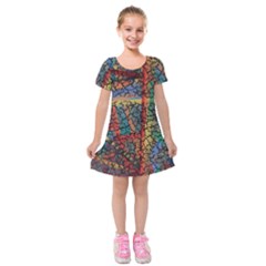 Crackle Kids  Short Sleeve Velvet Dress