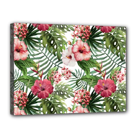 Tropical Flowers Canvas 16  X 12  (stretched) by goljakoff