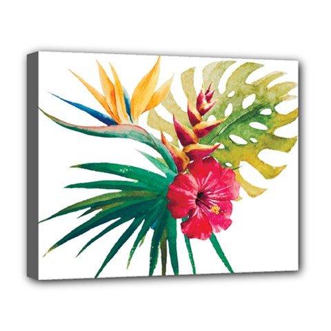 Tropical Flowers Deluxe Canvas 20  X 16  (stretched) by goljakoff