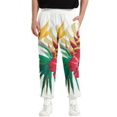 Tropical Flowers Men s Elastic Waist Pants by goljakoff