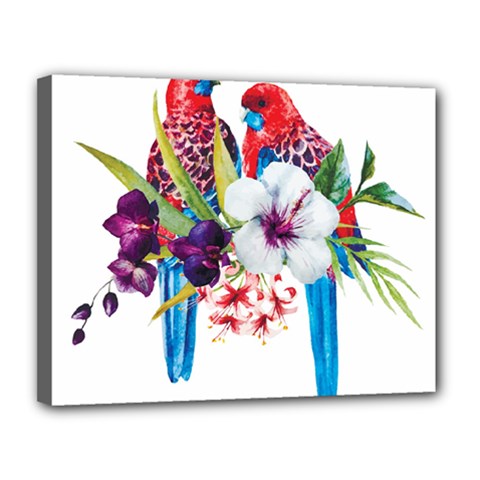 Tropical Parrots Canvas 14  X 11  (stretched) by goljakoff