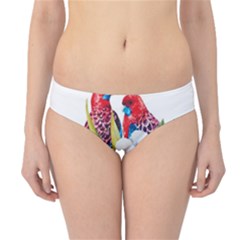 Tropical Parrots Hipster Bikini Bottoms by goljakoff