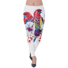 Tropical Parrots Velvet Leggings by goljakoff