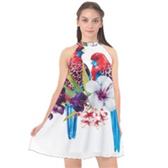 Tropical Parrots Halter Neckline Chiffon Dress  by goljakoff