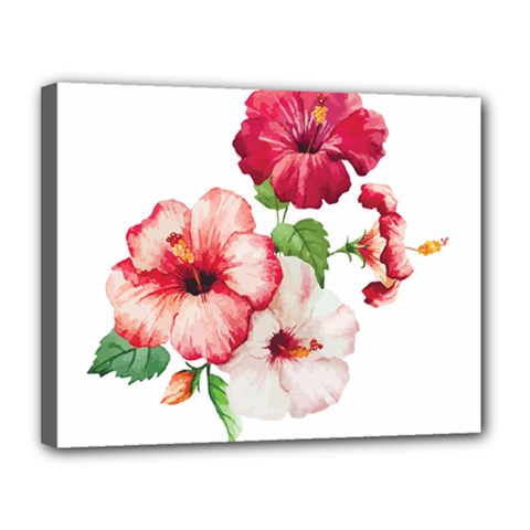 Flawers Canvas 14  X 11  (stretched) by goljakoff