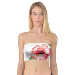 Flawers Bandeau Top by goljakoff