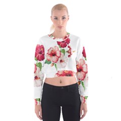 Flawers Cropped Sweatshirt by goljakoff