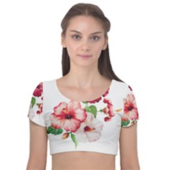 Flawers Velvet Short Sleeve Crop Top  by goljakoff