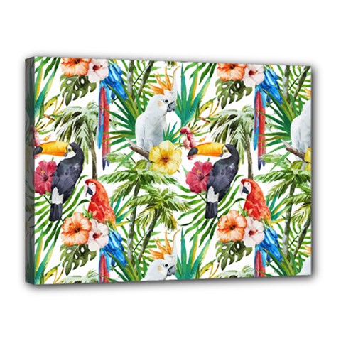 Jungle Birds Canvas 16  X 12  (stretched) by goljakoff