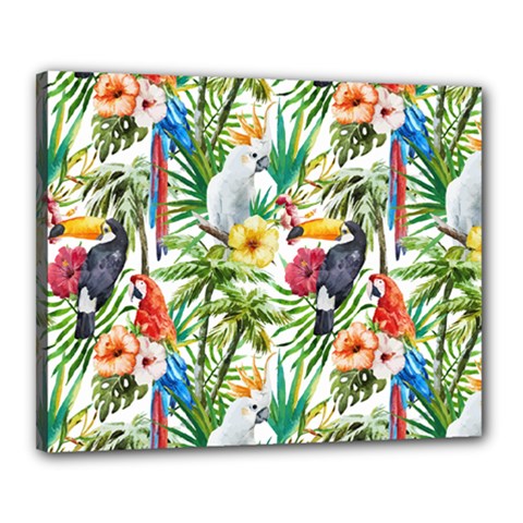 Jungle Birds Canvas 20  X 16  (stretched) by goljakoff