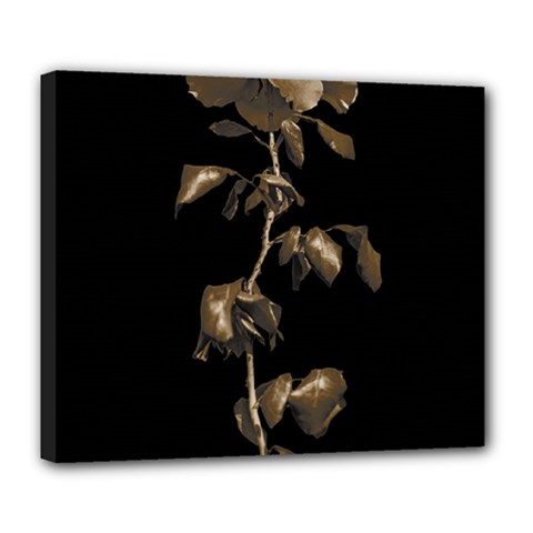 Dark Rose Poster Deluxe Canvas 24  X 20  (stretched) by dflcprintsclothing