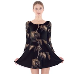 Dark Rose Poster Long Sleeve Velvet Skater Dress by dflcprintsclothing