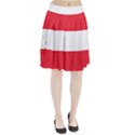 Flag of Austria Pleated Skirt View1