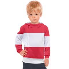 Flag Of Austria Kids  Hooded Pullover by FlagGallery