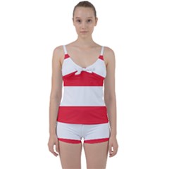 Flag Of Austria Tie Front Two Piece Tankini by FlagGallery