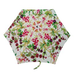 Spring Flowers Mini Folding Umbrellas by goljakoff