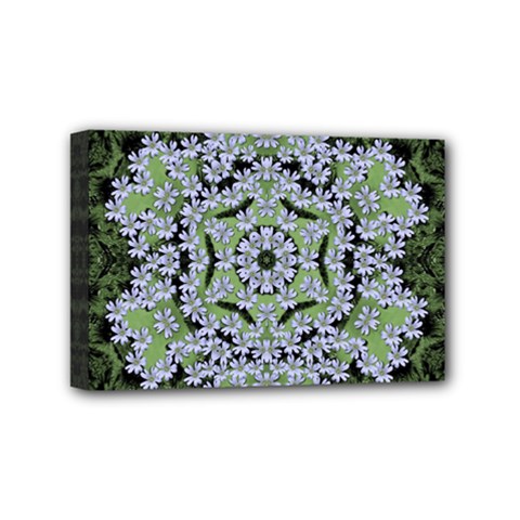 Calm In The Flower Forest Of Tranquility Ornate Mandala Mini Canvas 6  X 4  (stretched) by pepitasart