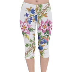 Garden Flowers Velvet Capri Leggings  by goljakoff