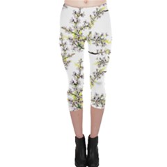 Spring Capri Leggings 