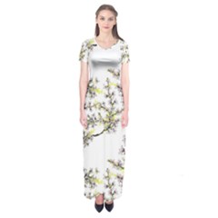 Spring Short Sleeve Maxi Dress by goljakoff