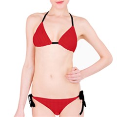 Amaranth Red & Black - Classic Bikini Set by FashionLane