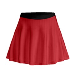 Amaranth Red & Black - Mini Flare Skirt by FashionLane