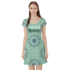 Mint Floral Pattern Short Sleeve Skater Dress by Dazzleway