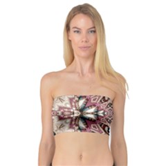 Pink Pattern Bandeau Top by Dazzleway