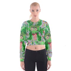 Supersonicfrog Cropped Sweatshirt